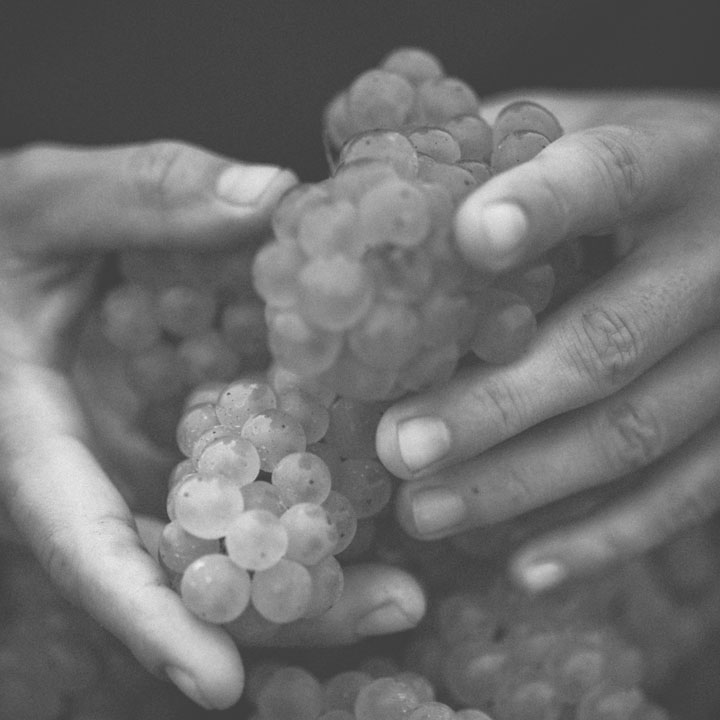 Clos Dubreuil